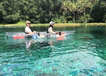 En San Petesburgo, Florida, puedes navegar en canoas mientras interactúas con animales