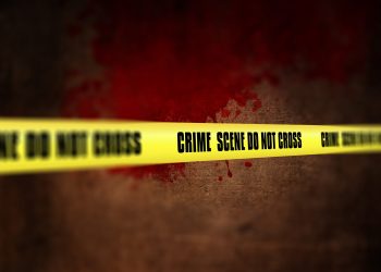 Mujer mató hijos zombis