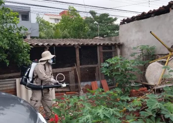 Se intensifican las campañas de fumigación para evitar la propagación del dengue. FOTO: Ministerio de Salud