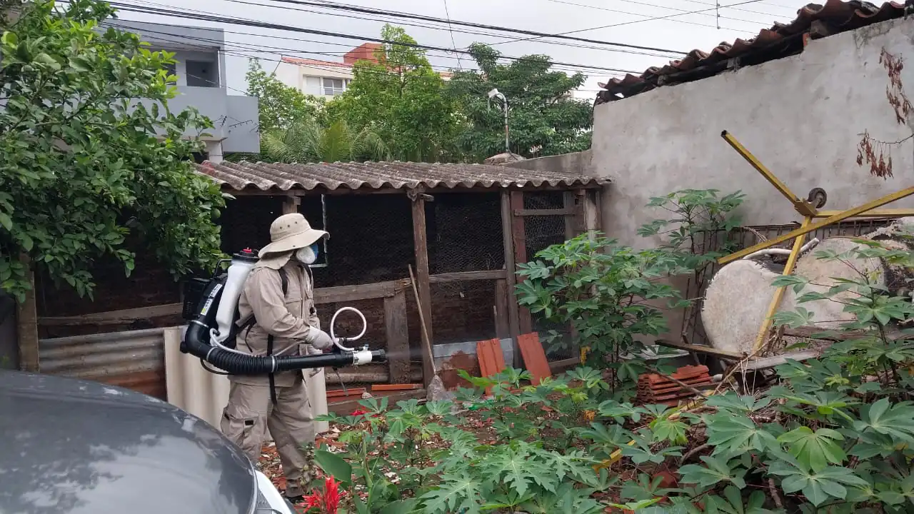 Se intensifican las campañas de fumigación para evitar la propagación del dengue. FOTO: Ministerio de Salud