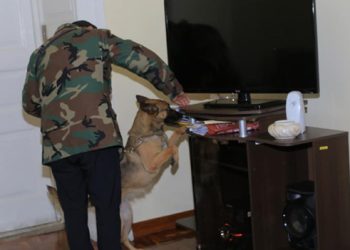 Condori pide revisión antidroga en la Gobernación, la FELCN no encuentra sustancias controladas