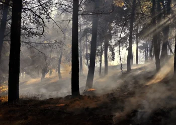 El periodo de incendios concluyó, según Defensa Civil. FOTO: Bomberos Thasnuq