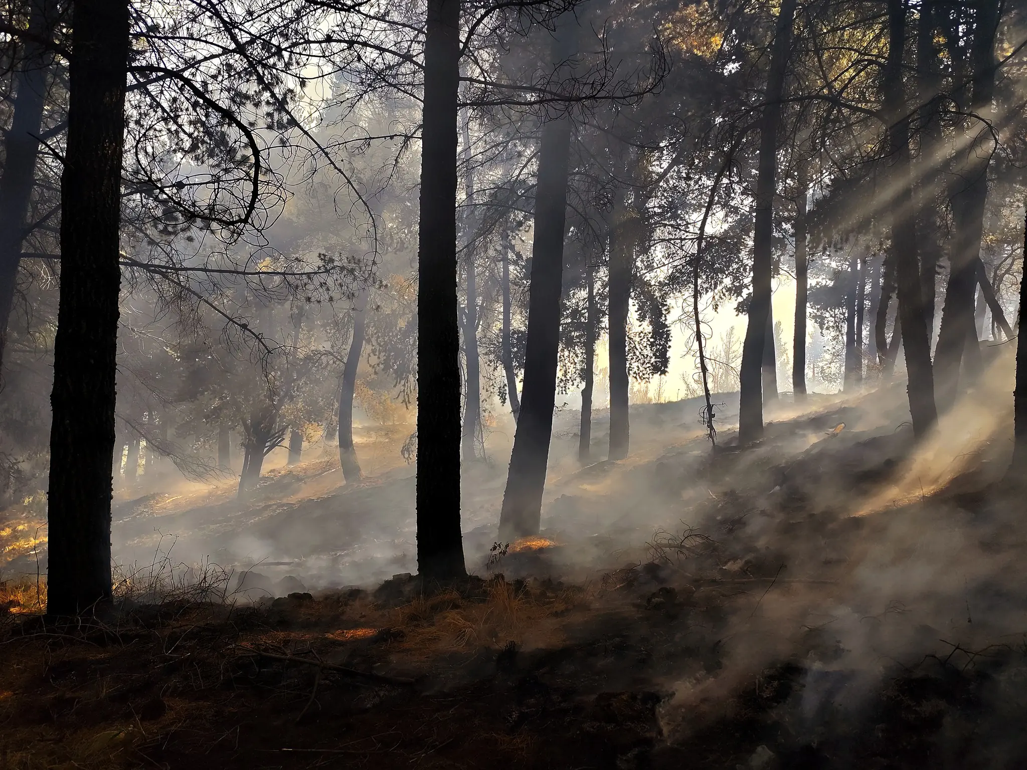 El periodo de incendios concluyó, según Defensa Civil. FOTO: Bomberos Thasnuq
