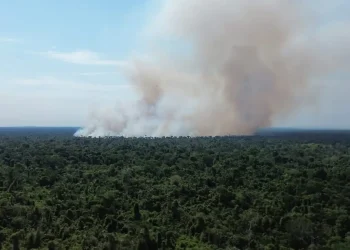El fuego avanza rápidamente/RRSS