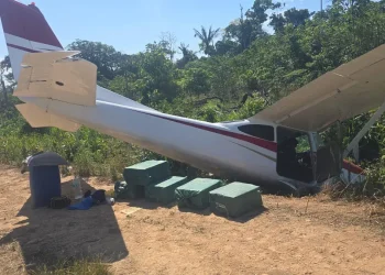 La avioneta y la droga incautada/FELCN