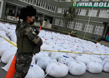 Más de 15.000 libras de coca prensada fueron incautadas por la FELCN.