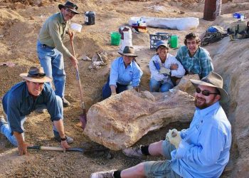 El dinosaurio más grande de Australia fue identificado como especie nueva