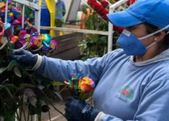 Economía de Ecuador crece 8,4% interanual en el segundo trimestre de 2021