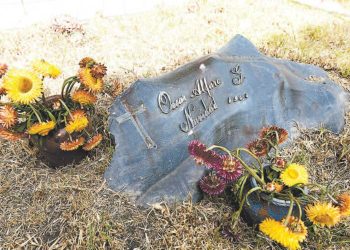 Celebramos el centenario de Óscar Alfaro
