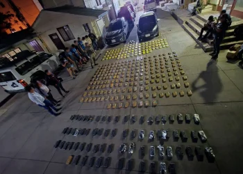 Los paquetes con droga hallados en la vivienda/FELCN