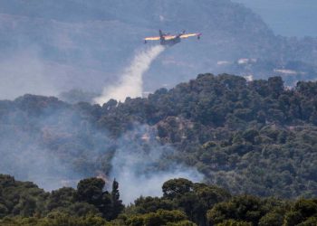 Grecia lucha contra incendio forestal, una ‘castástrofe ecológica’