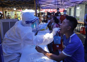 China confirma primer contagio humano de cepa de gripe aviar