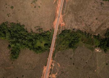 La Amazonía, castigada y al borde del abismo