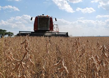Productores de soja de Brasil tildan de ‘proteccionista’ plan contra deforestación de UE