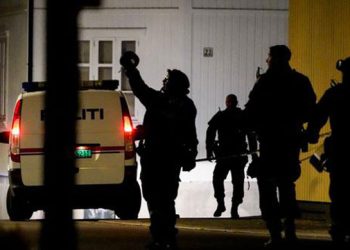 Cinco muertos y dos heridos en ataque con arco y flechas en Noruega