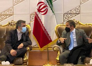 Director del OIEA comienza las reuniones con responsables iraníes