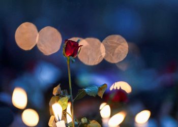 Historias de amor nacen en barricadas contra la junta en Birmania