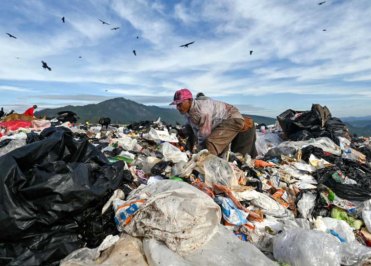 Compitiendo con buitres: la vida entre la basura para sortear la pobreza en Honduras