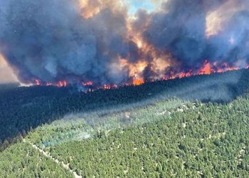 Los incendios forestales calientan más el oeste de Canadá y California