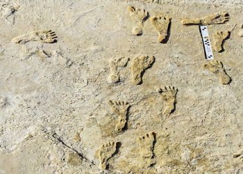 Huellas de Nuevo México prueban humanos en América hace 23.000 años