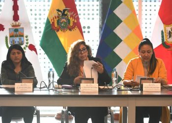 El MAS impulsará ley para destrabar la convocatoria de las judiciales