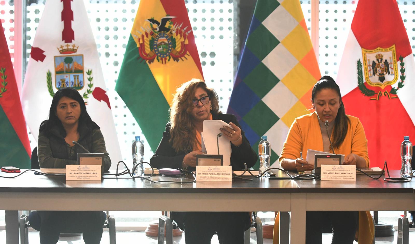 El MAS impulsará ley para destrabar la convocatoria de las judiciales