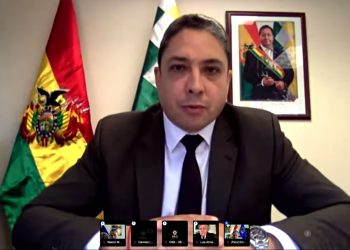 En Consejo de la OEA, Bolivia rechaza y repudia ‘grosera injerencia’ de Almagro