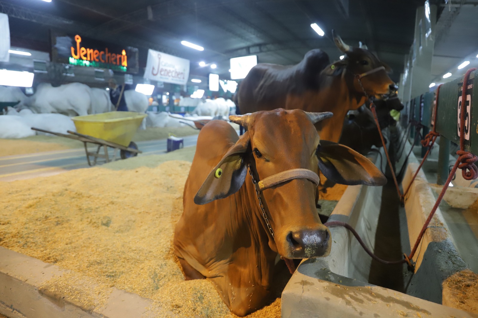 Tres ferias acompañan la Agropecruz