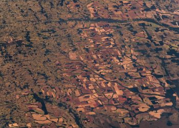 La deforestación en la Amazonia brasileña cae