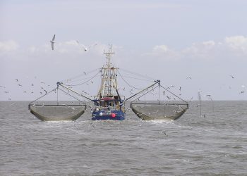 Barco pesquero chino