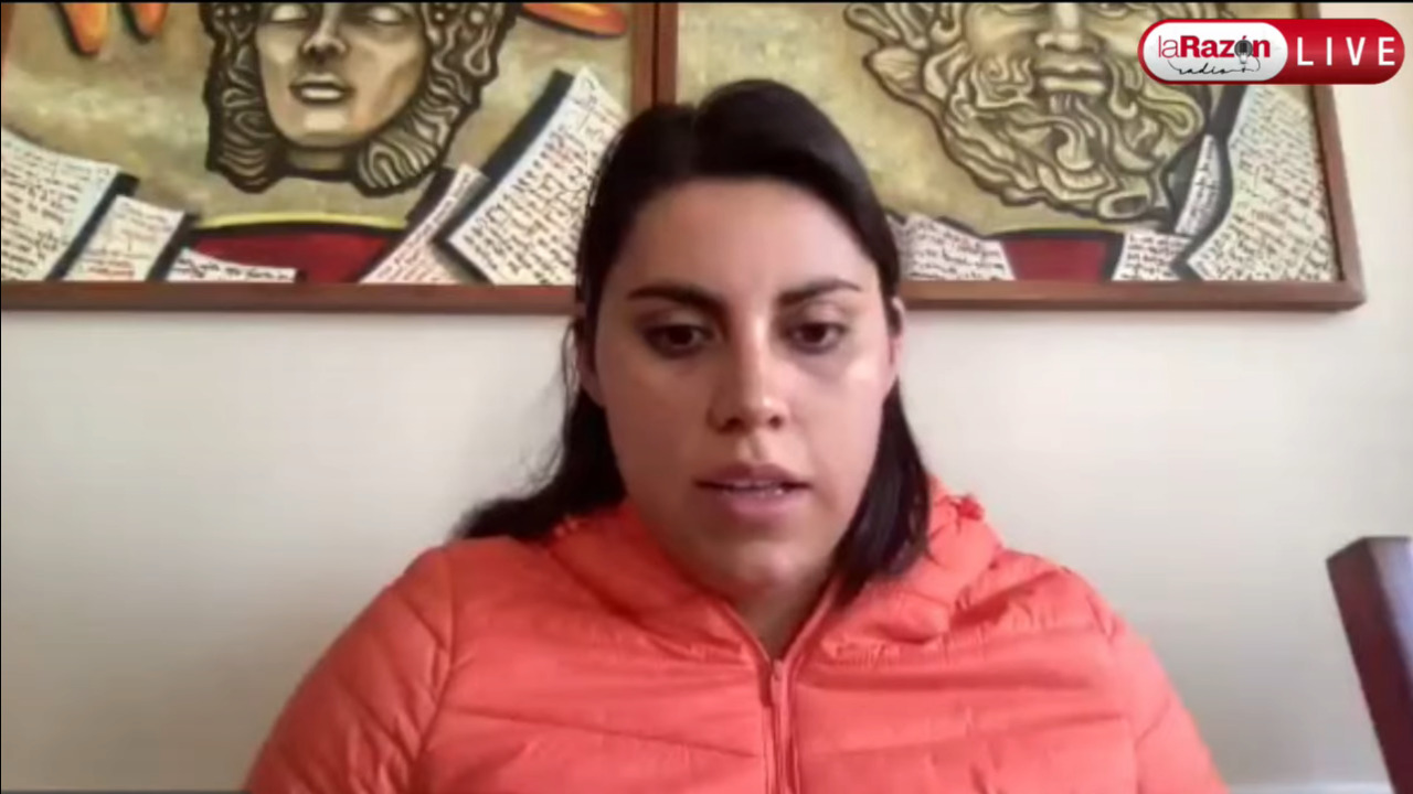 Senadora de CC admite que la sucesión de Áñez ‘no fue ordinaria ni regular’