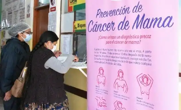 Entre 2016 y 2024 se detectaron 9.052 casos de cáncer de mama en el país