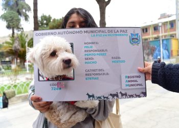 ¿No logró ir al registro masivo? Ahora puede carnetizar a su mascota desde el celular