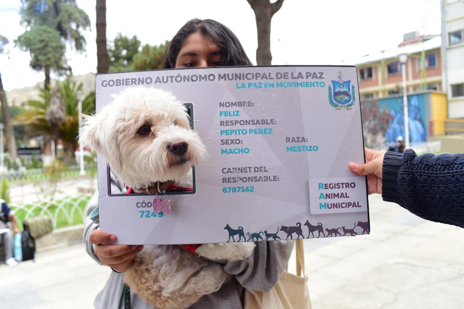¿No logró ir al registro masivo? Ahora puede carnetizar a su mascota desde el celular