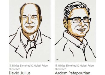 Nobel de Medicina para dos estadounidenses por receptores de temperatura y tacto