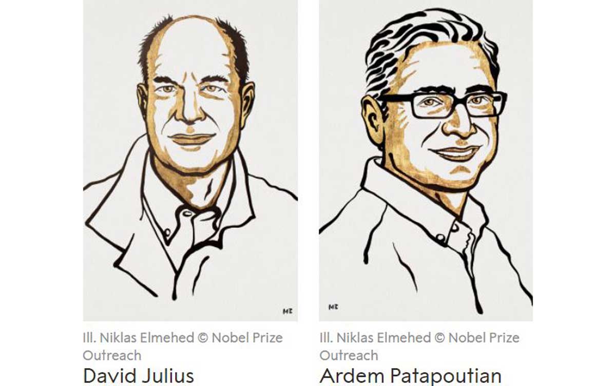 Nobel de Medicina para dos estadounidenses por receptores de temperatura y tacto