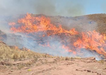 Bomberos de El Alto sofocaron un incendio en un área de 50 hectáreas en Caquiaviri