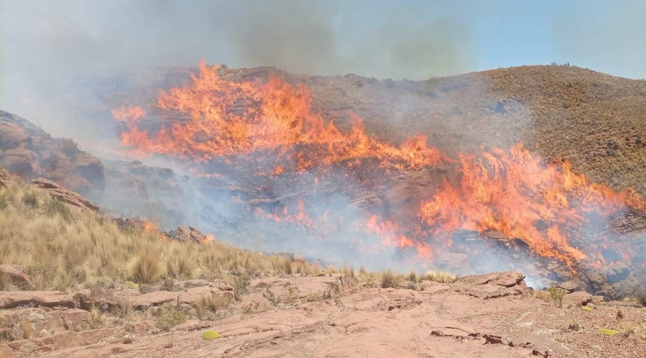 Bomberos de El Alto sofocaron un incendio en un área de 50 hectáreas en Caquiaviri