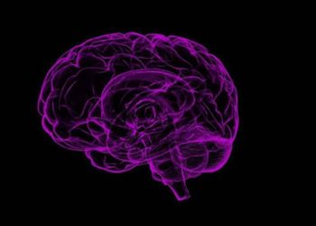 Desarrollan neurona artificial que funciona como una natural para el almacenamiento de información