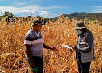 Seguro Agrario: Más de 60.037 productores fueron afectados por desastres naturales