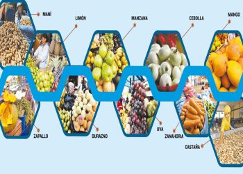 IRRADIACIÓN GAMA mejorará la producción de más de 20 frutas y hortalizas