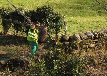 HP reforestará 40.000 metros cuadrados de terreno quemado en España