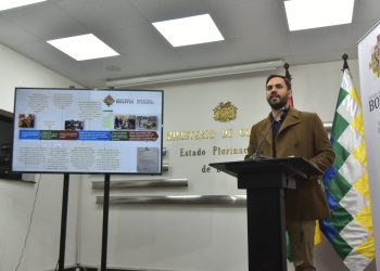 Del Castillo: Gabinete de Áñez trató falta de agentes en 2019; se apunta a tres exministros