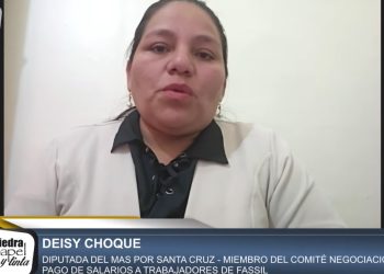 La diputada del MAS Deysi Choque entrevista vía Zoom con La Razón.