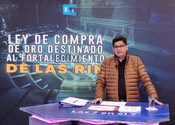 El Gobierno espera comprar y monetizar hasta siete toneladas de oro por año