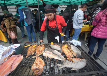 Pacú, trucha, sábalo y surubí, siete toneladas de pescados serán ofertadas en la plaza Villarroel