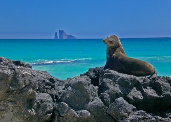 Ecuador: deuda por naturaleza