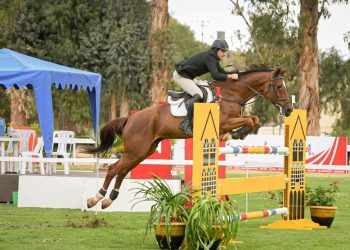 Fernando Bedoya y BM Armagnac triunfan en la primera jornada de la Copa FEI