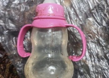 Hallan vivos a niños de Colombia