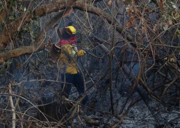 Defensa reporta un 85% de reducción de los incendios forestales en Bolivia